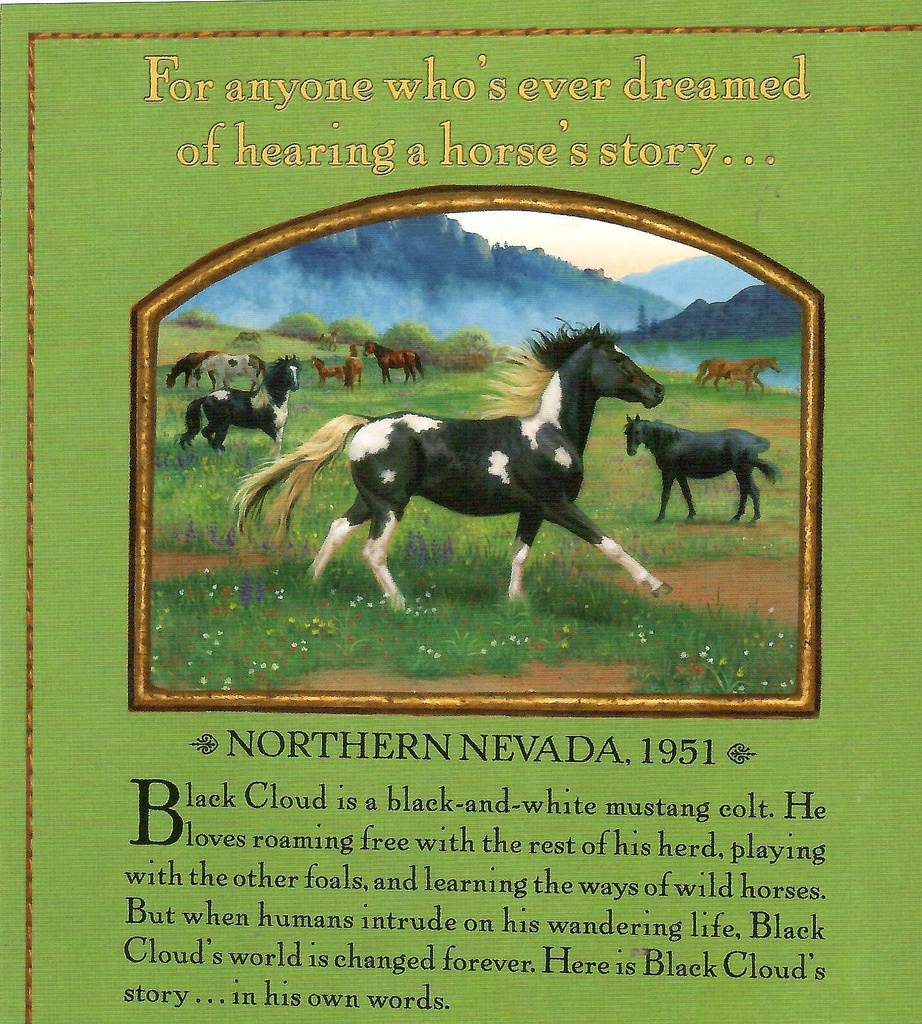 Horse Diaries #08: Black Cloud (8-12yrs)