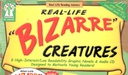 Real-Life “Bizarre” Creatures Hi/Low Books with CD (7-12yrs)