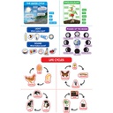 MORE SIGHT WORDS BULLETIN BOARD SET (copy)