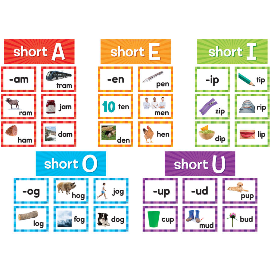 Short Vowels Pocket Chart Cards Write - on/ Wipe - off (205 cards)