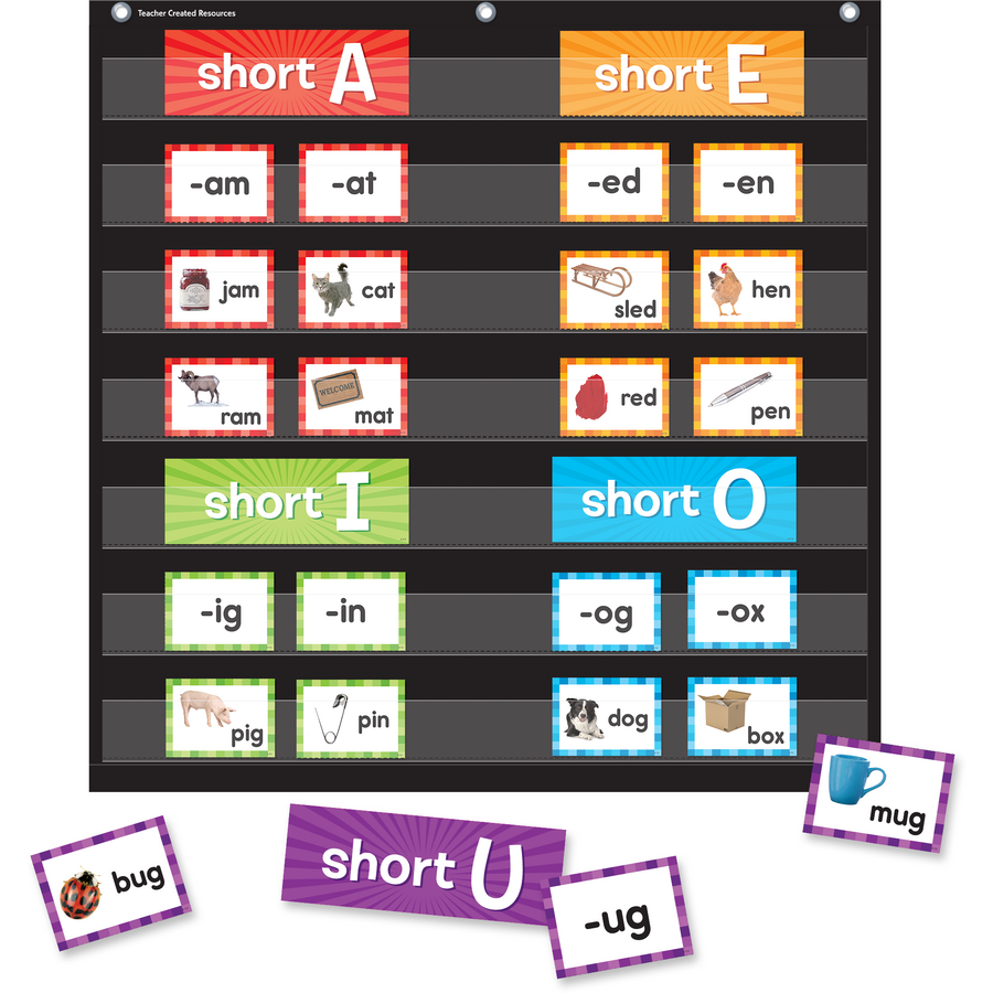 Short Vowels Pocket Chart Cards Write - on/ Wipe - off (205 cards)