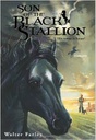 SON OF BLACK STALLION (8-12 yrs)