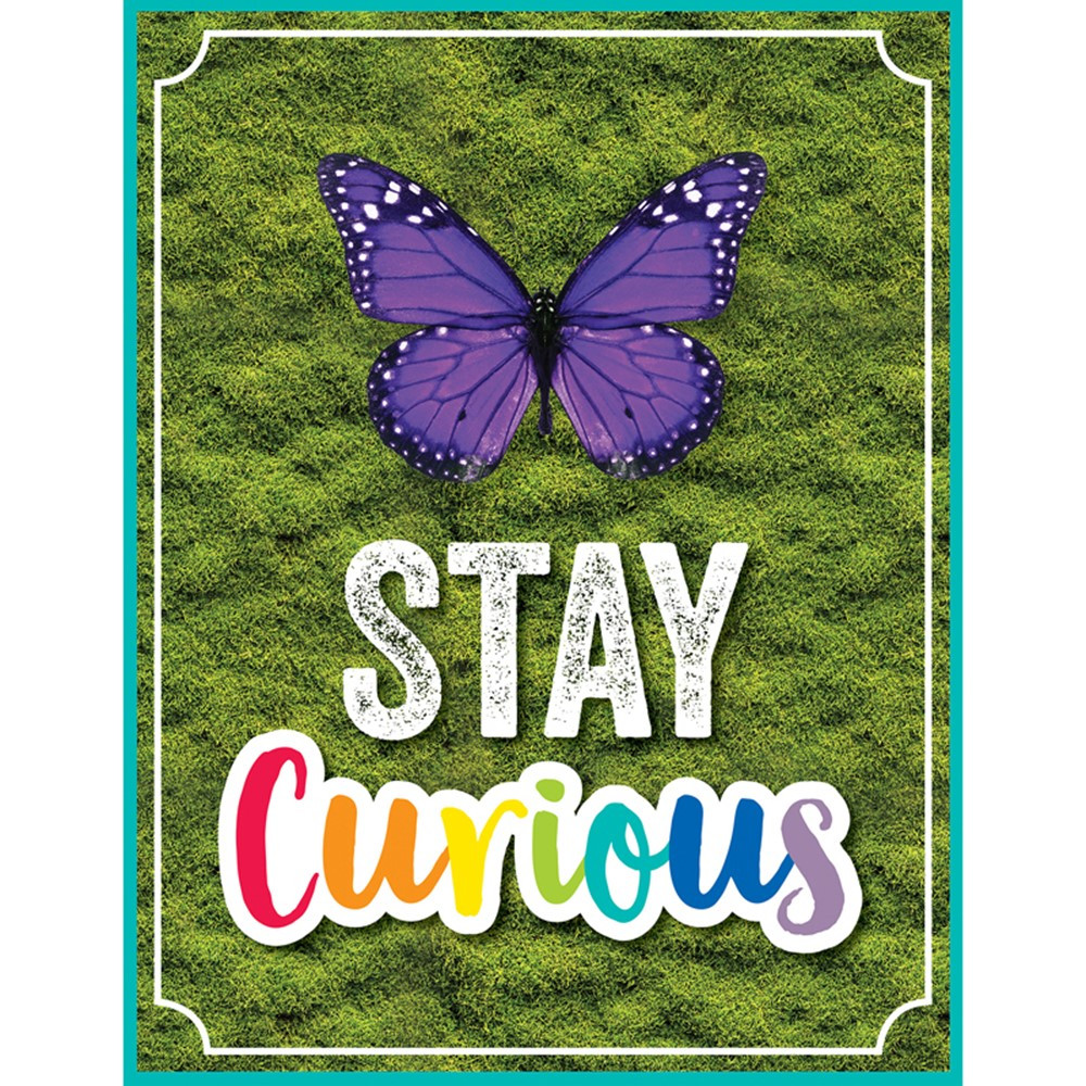 Stay Curious Poster Chart (55cmx43cm)(21.6''x17")