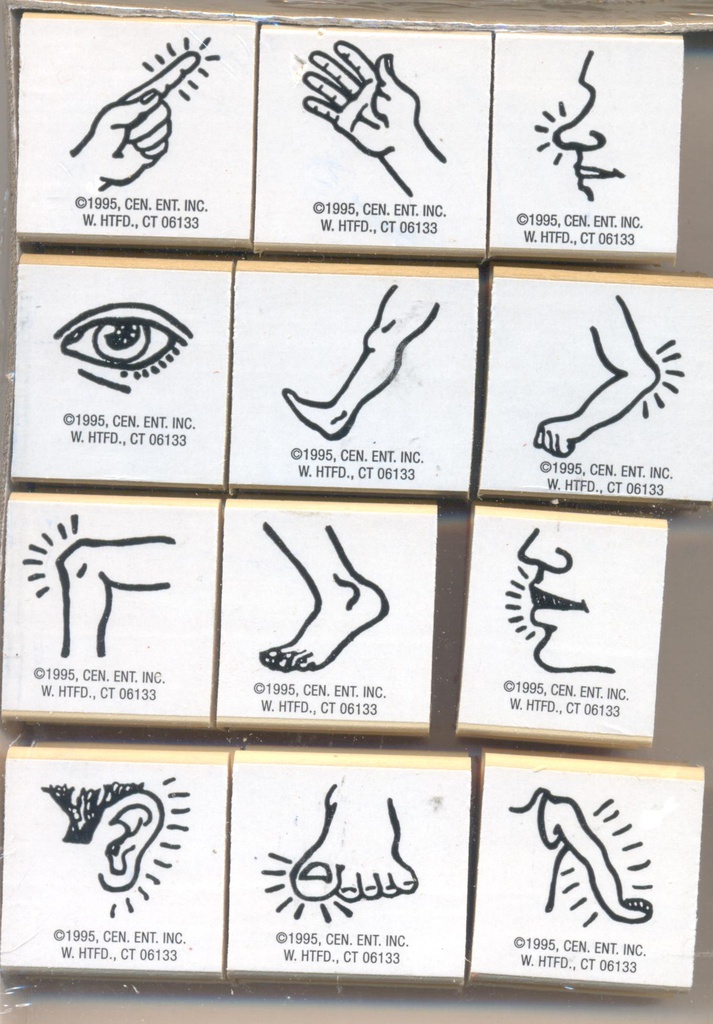 Body Parts Stamp Set