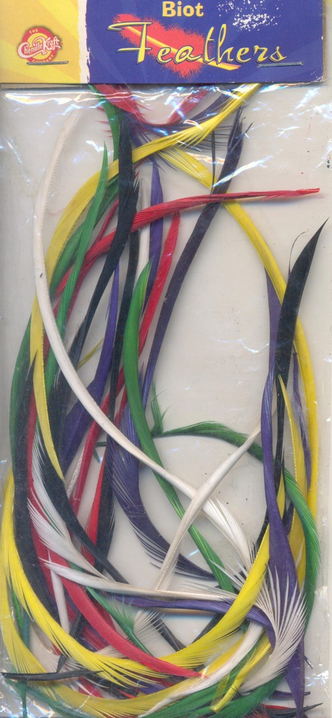 Feathers- Biot (25pcs) Asst Colors(3+yrs)