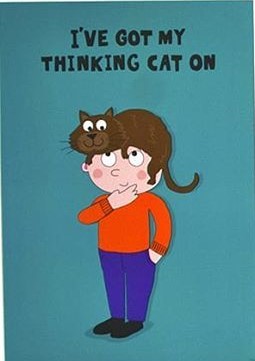 I've Got My Thinking Cat On So Much Pun! Inspire u Poster (48cmx33.5cm)(19''x13'')