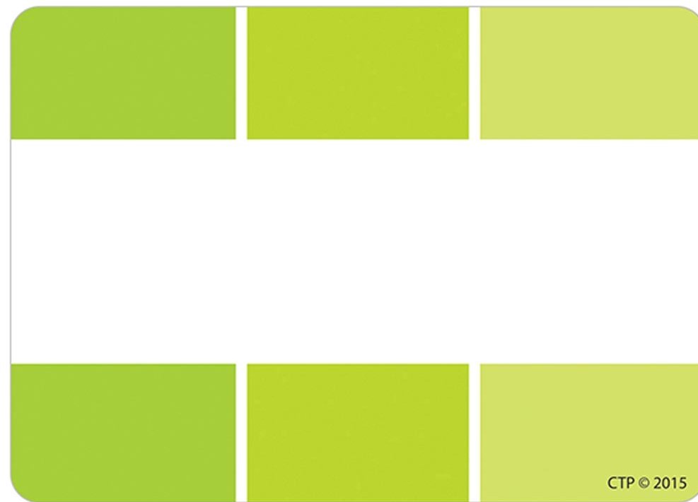 LIME GREEN PAINT CHIP LABELS (3''-7.5cm)    (36 pcs)