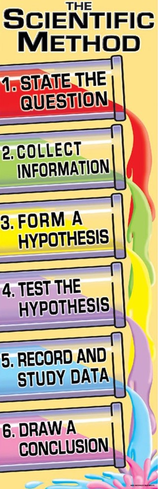 The Scientific Method Colossal Poster Middle /Upper Grades BB Set   (11 sub title)(5.5'-167.6cm)