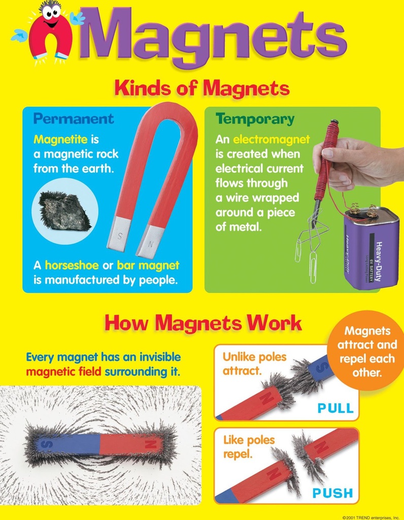 Magnets Kinds of Magnet Chart (55cmx 43cm)(22''x17'')