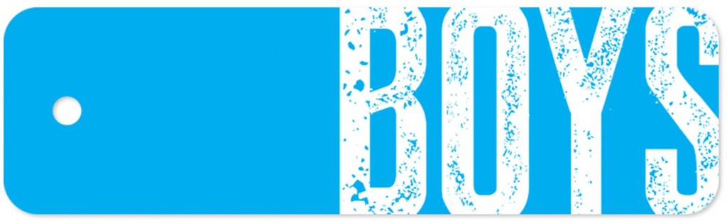 PLASTIC HALL PASS BIG TYPE BOYS (20cmx 6cm)(1 pc)