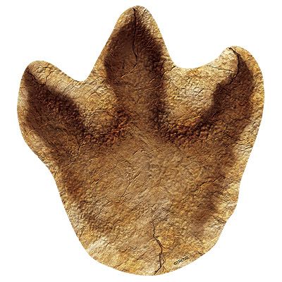 Discovering Dinosaurs Tracks Accents (6.2'' (16cm)(36 sheets)