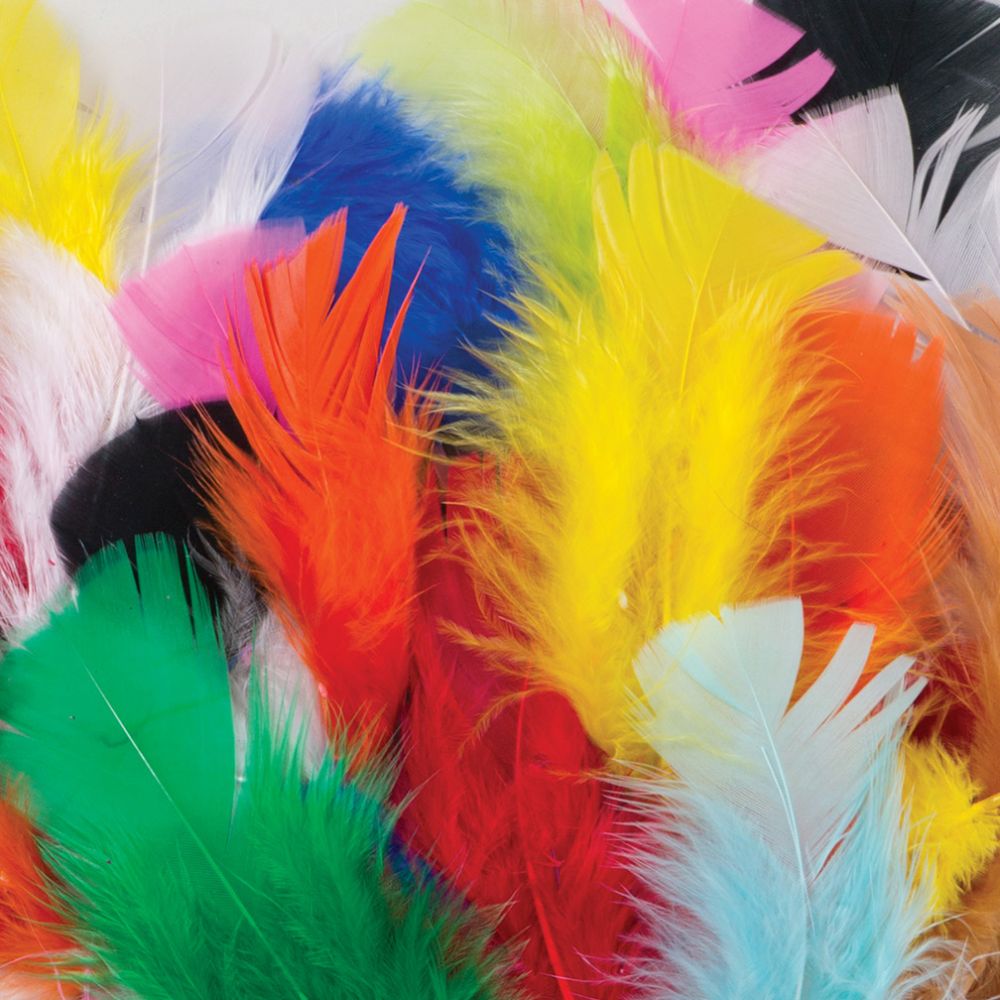 FEATHERS PLUMAGE BRIGHT HUES (1 OZ)