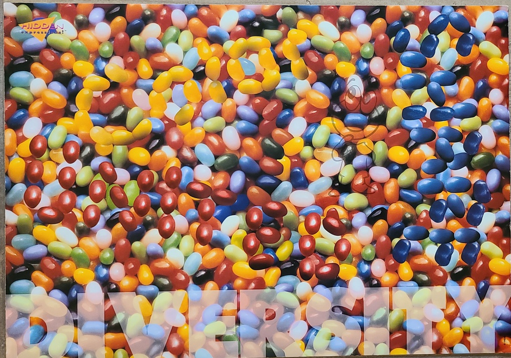 DIVERSITY  HIDDEN POSTER (13.3"x19" ( 48cm x 33.7cm)