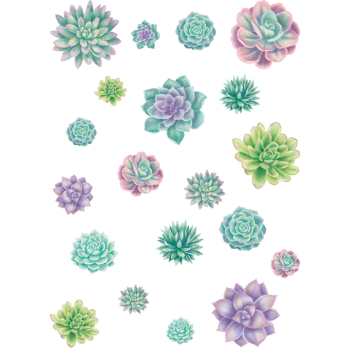 RUSTIC BLOOM SUCCULENTS Accents  (60/pkg) 4 sizes: 4" (10cm) to 6" (15cm)