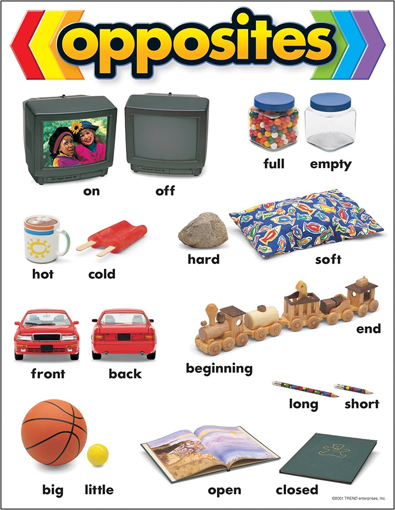 OPPOSITES Chart 17" x 22" (43cm x 56cm)