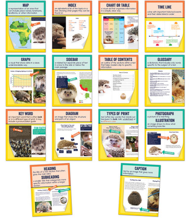 NONFICTION TEXT FEATURES MINI POSTERS  (14pcs)(8.5''x11'')(21.5cmx28cm)