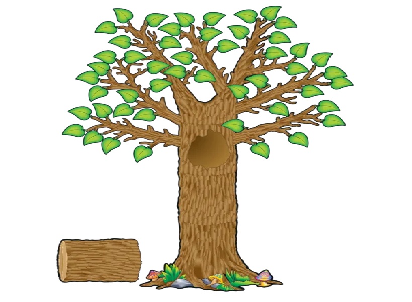 Seasonal Tree Bulletin Board Display Set (64pcs)(17"x23")(43cmx58.4cm)(5'-152.4cm)