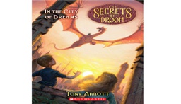 [9780545098816] SECRETS OF DROON #34: IN THE CITY OF DREAMS (7-10yrs)