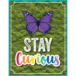 [CDX114274] Stay Curious Poster Chart (55cmx43cm)(21.6''x17")