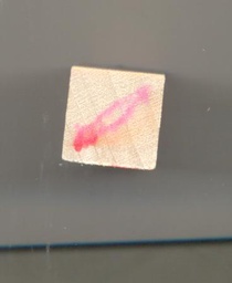 [CEX1238] Paintbrush Incentive Stamp (0.5''x0.5'')=(1cmx1cm)