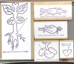 [CEX996] Lifecycle Stamp Set, Plant Roots Stamp(1.75''x2.2''-2''x3.5'')(4.4cmx5.5cm-5cmx8.8cm)