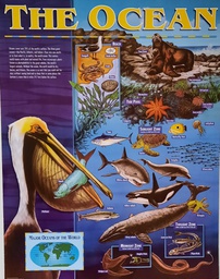 [CTPX5546] The Ocean Sharp Chart  (71.5cmx56cm)(28''x22'')