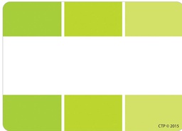 [CTPX0716] LIME GREEN PAINT CHIP LABELS (3''-7.5cm)    (36 pcs)