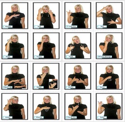 [KEX845025] Sign Language in the Early Childhood Classroom Learning Cards Pre K -Gr.2 (48 cards)(15.5''x4.3'')4cmx11cm)