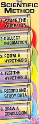[MCXV1619] The Scientific Method Colossal Poster Middle /Upper Grades BB Set   (11 sub title)(5.5'-167.6cm)