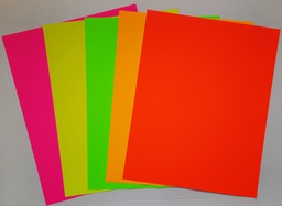 [PX54902S] POSTERBOARD  22''x28'' (55cm x 71.1cm) Fluorescent Asst SINGLE