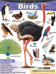 [TX38180] Exploring Birds Chart (55cmx 43cm)(22''x17'')