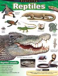 [TX38181] Exploring Reptiles Chart (55cmx 43cm)(22''x17'')