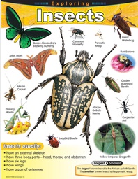 [TX38184] Exploring Insects Chart (55cmx 43cm)(22''x17'')