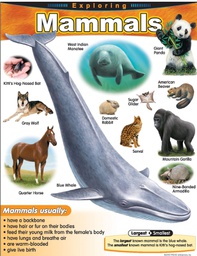 [TX38185] Exploring Mammals Chart (55cmx 43cm)(22''x17'')