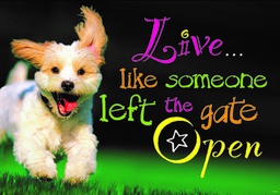 [TAX67042] Live like someone left the gate open  Poster (19"x13.3"(48cm x 33.7cm)