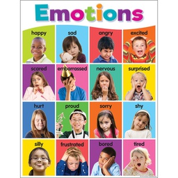 [TCR7107] *Colorful Emotions Chart 17" x 22" (43cm x 56 cm)
