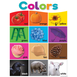 [TCR7991] *Colorful Colors Chart 17" x 22" (43cm x 56 cm)