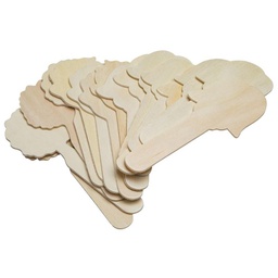 [PXAC3621] CRAFT STICK FACES 4 ASST DESIGNS (16CT)