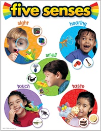 [T38051] Fives Senses Chart 17" x 22" (43cm x 56cm)