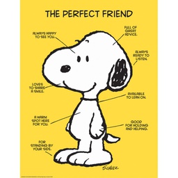 [EU837039] PEANUTS THE PERFECT FRIEND CHART (17" x 22")  (43cm x 56cm)