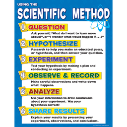 [TCR7704] Scientific Method  Chart (17''x22'')(43cmx56cm)