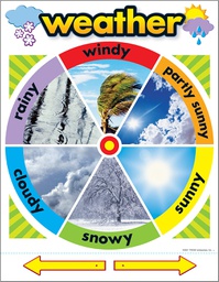 [T38046] WEATHER Chart 17" x 22" (43cm x 56cm)