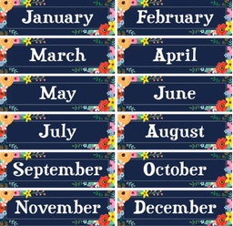 [TCR6597] Wildflowers Monthly Headliners 5''x18''(12.7cmx45.7cm)(12pcs)