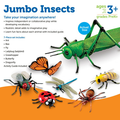 Jumbo Insects (set of 7)