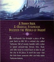 SECRETS OF DROON #11: THE HAWK BANDITS OF TARKOOM (7-10yrs)