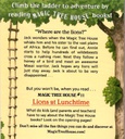 Magic Tree House #11: Lions at Lunchtime (6-9yrs)