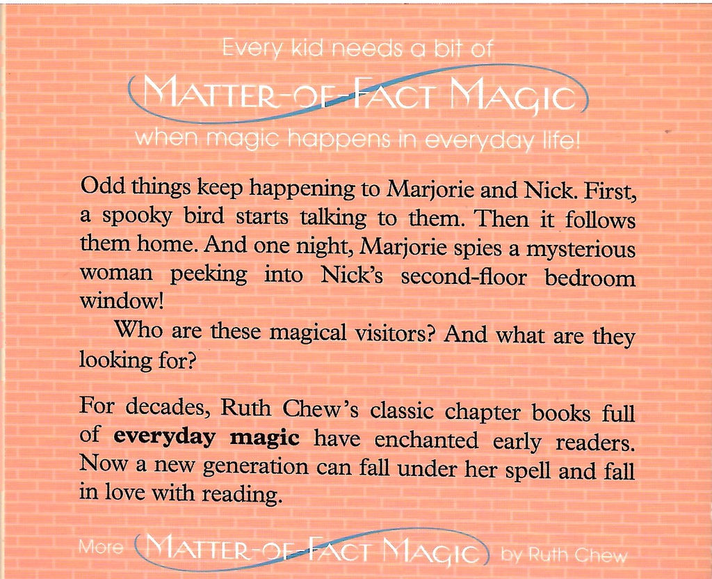 A Matter-of-Fact Magic Book: The Witch at the Window (7-10yrs)