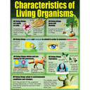 Living Organisms Poster Set (43cm x 55.9cm) 4 Posters