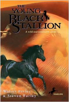 The Young Black Stallion (8-12 yrs)