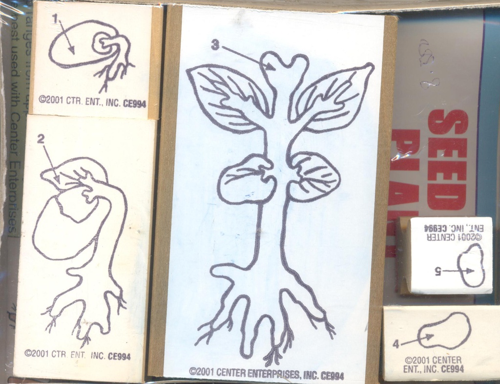 Lifecycle Stamp Set, Seed to Plant